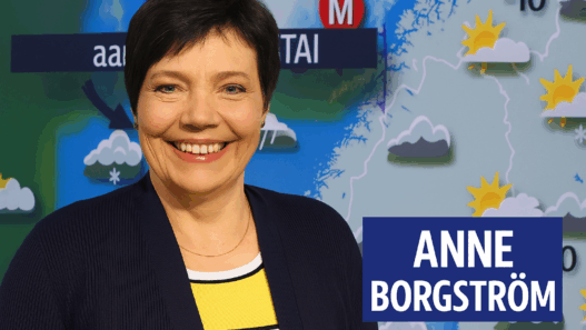 anne borgström