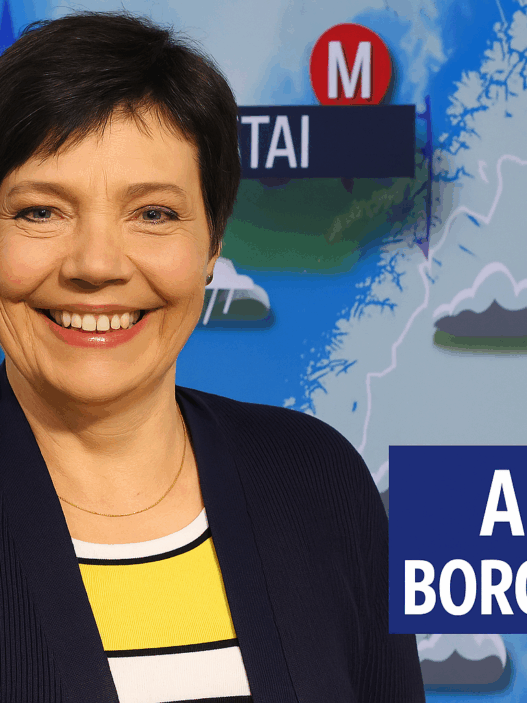 anne borgström